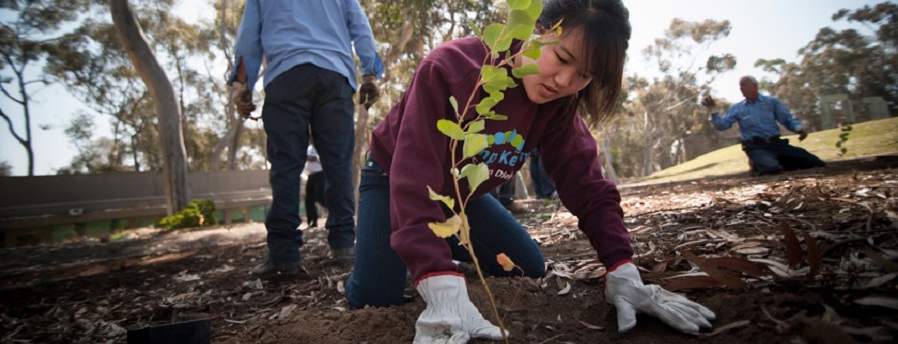 3 of 4, Student plants tree for Earth Day